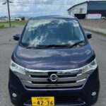 NISSAN DAYZ 4WD Purple